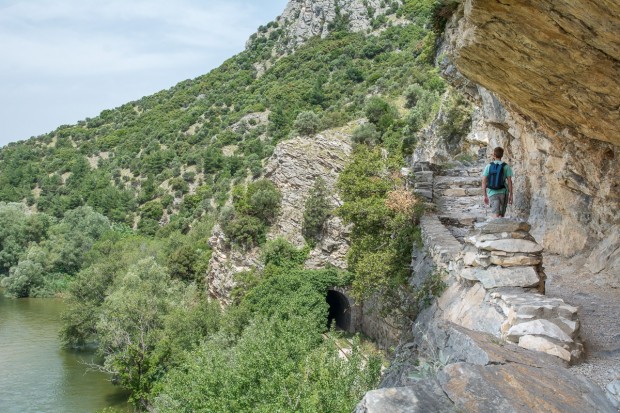TRAIL NESTOS