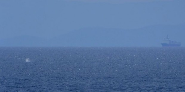 ΚΛ2