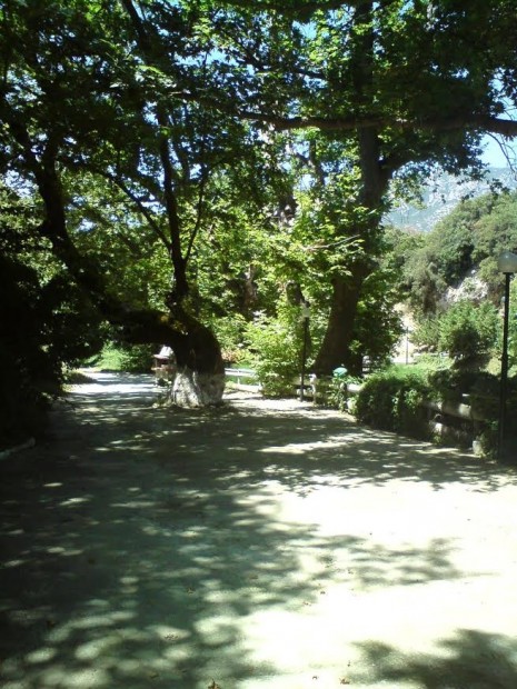 ζ1