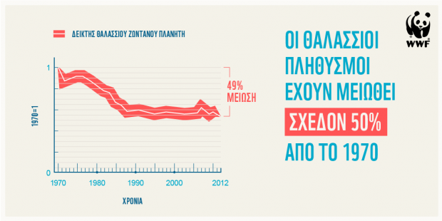 Infographic-1_5