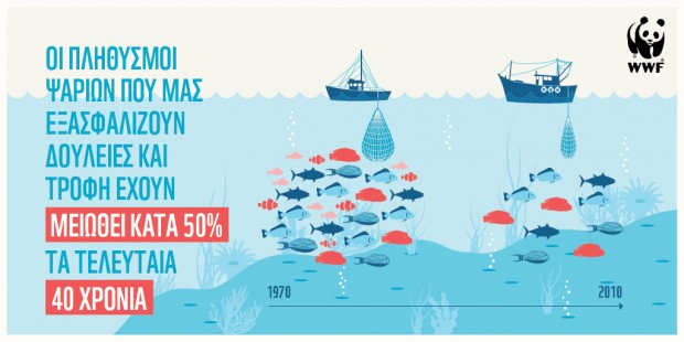 Infographic-2_4