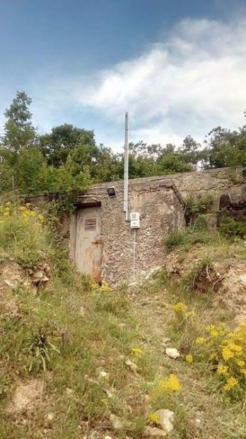 ρρφ