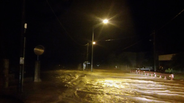 download (2)