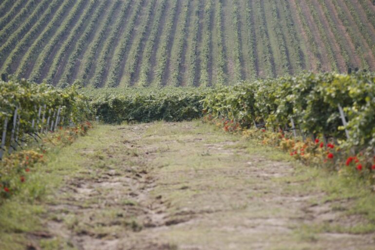 Εξισωτική Αποζημίωση 2025: Αναρτήθηκαν οι πίνακες – Ξεκινούν οι πληρωμές