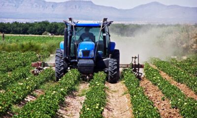 Δικαστική απόφαση για υπόθεση παράνομων επιδοτήσεων ΟΠΕΚΕΠΕ στις Σέρρες