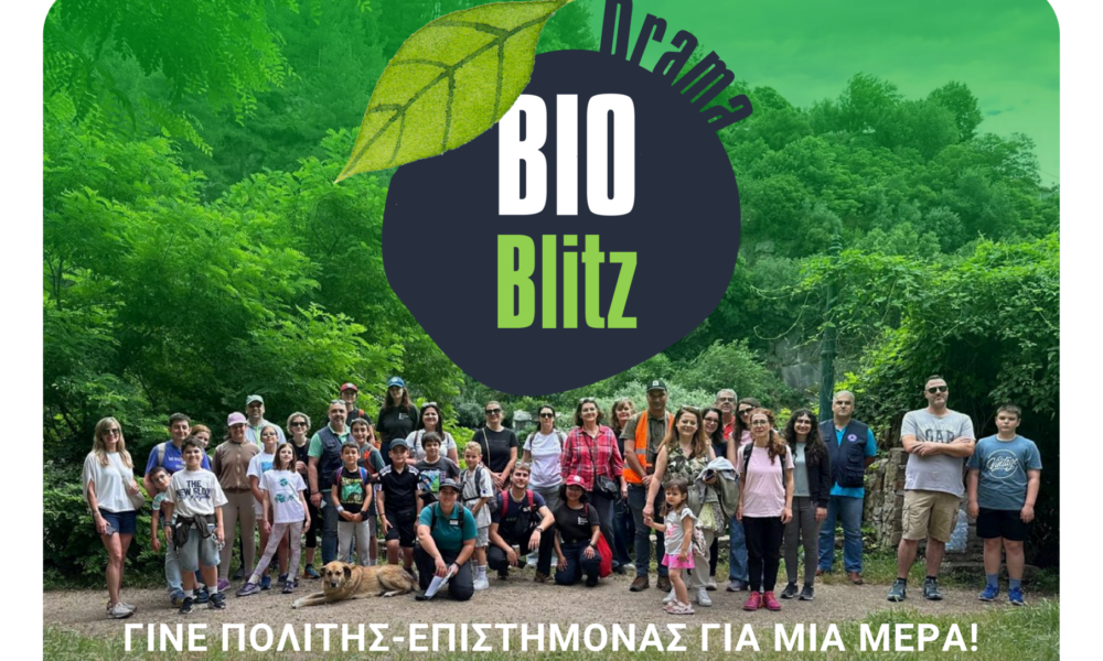 Συμμετέχοντες σε δράση BioBlitz στη Δράμα