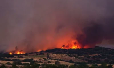 Πυροσβέστες επιχειρούν σε δασική πυρκαγιά που προκλήθηκε από αμέλεια πολίτη στην Ελλάδα