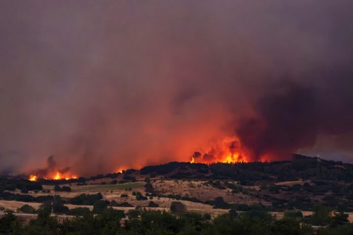 Πυροσβέστες επιχειρούν σε δασική πυρκαγιά που προκλήθηκε από αμέλεια πολίτη στην Ελλάδα