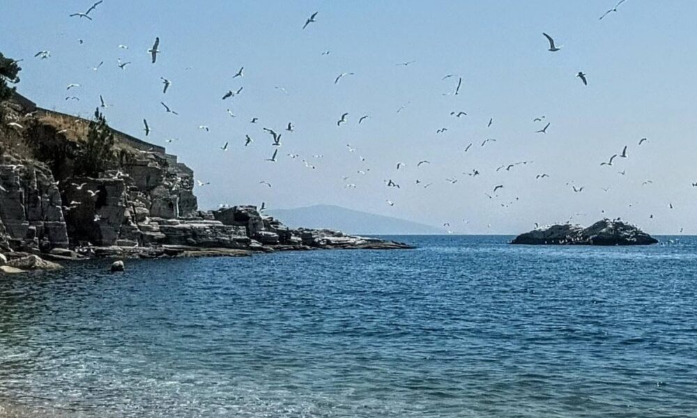 Καβάλα-ακτή στον Όρμο Παναγίας και πρωτοβουλίες του Συλλόγου Το Μονόπετρο