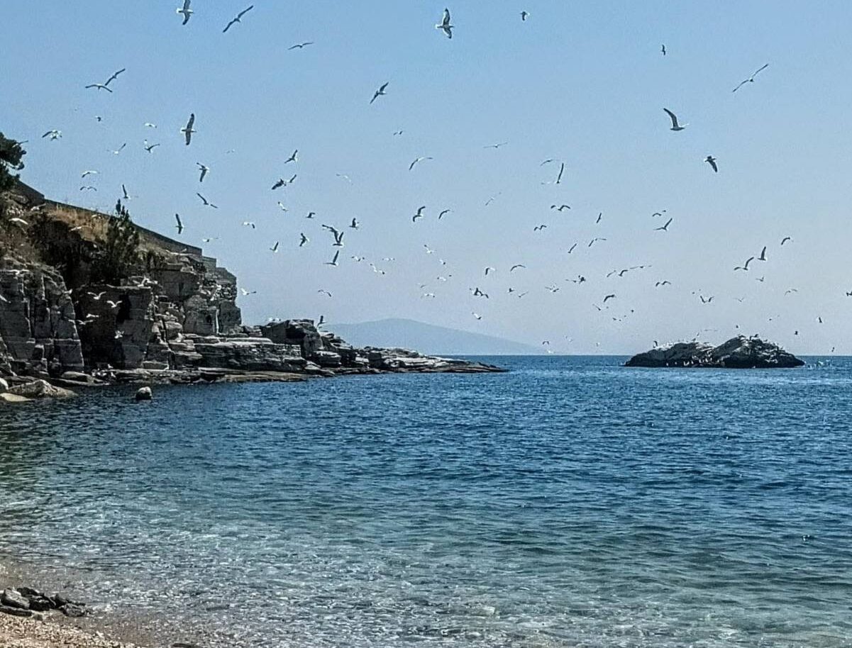 Καβάλα-ακτή στον Όρμο Παναγίας και πρωτοβουλίες του Συλλόγου Το Μονόπετρο