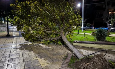 Ισχυρή καταιγίδα με πυκνά σύννεφα και πτώσεις δέντρων στη Δράμα μετά την κακοκαιρία
