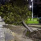Ισχυρή καταιγίδα με πυκνά σύννεφα και πτώσεις δέντρων στη Δράμα μετά την κακοκαιρία