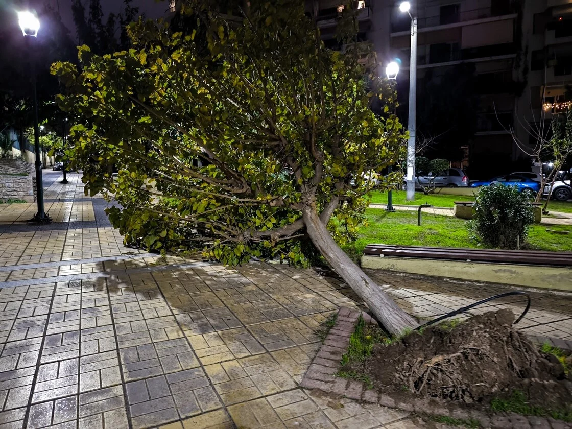 Ισχυρή καταιγίδα με πυκνά σύννεφα και πτώσεις δέντρων στη Δράμα μετά την κακοκαιρία